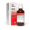Dr. Reckeweg Naja-Gastreu® R22