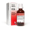 Dr. Reckeweg Secale-Gastreu® R28