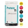 PROTEIN 75 Vanille Pulver