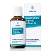 BRYOPHYLLUM ARGENTO cultum D 3 Dilution