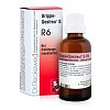 Dr. Reckeweg Grippe-Gastreu® S R6