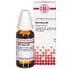 NUX VOMICA D 6 Dilution