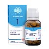 DHU Schüßler-Salz Nr. 1 Calcium fluoratum D6 Tabletten