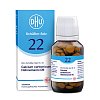 BIOCHEMIE DHU 22 Calcium carbonicum D 6 Tabletten