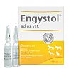 ENGYSTOL ad us.vet.Ampullen