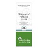 PFLÜGERPLEX Pertussis 320 H Tabletten