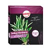 FLORIMEL Salbeibonbons m.Vitamin C zuckerfrei