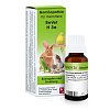 Dr. Reckeweg ReVet® H 3a