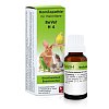 Dr. Reckeweg ReVet® H 4