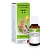 Dr. Reckeweg ReVet® H 5