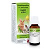 Dr. Reckeweg ReVet® H 24