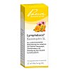 LYMPHDIARAL BASISTROPFEN SL