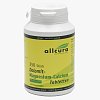 DOLOMIT Magnesium Calcium Tabletten