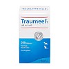 TRAUMEEL T ad us.vet.Tabletten