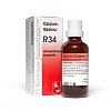 Dr. Reckeweg Calcium-Gastreu® R34