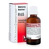 Dr. Reckeweg Mahonia-Gastreu® R65