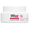 SEBAMED Anti-Ageing Aufbaucreme Q10 Tiegel