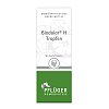 BIODOLOR H Tropfen