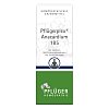 PFLÜGERPLEX Anacardium 185 Tropfen