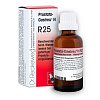 PROSTATA-GASTREU N R25 Mischung