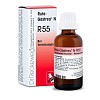 Dr. Reckeweg Ruta-Gastreu® N R55