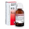 Dr. Reckeweg Haemorrhoid-Gastreu® N R13