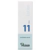 BIOCHEMIE Pflüger 11 Silicea Lotion