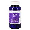 GELENK-FIT GPH Kapseln