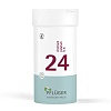 BIOCHEMIE Pflüger 24 Arsenum jodatum D 6 Tabletten