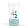 BIOCHEMIE Pflüger 12 Calcium sulfuricum D 6 Pulver
