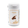 PROPOLIS+VITAMINE Kapseln