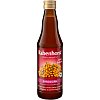 RABENHORST Sanddorn Bio Muttersaft