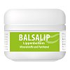 BALSALIP Balsam