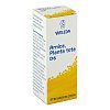 ARNICA PLANTA tota D 6 Globuli