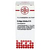 GINKGO BILOBA D 6 Globuli