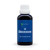 Bitterstern Bittertropfen 50 ml