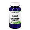 SALBEI 120 mg GPH Kapseln
