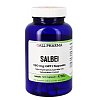 SALBEI 120 mg GPH Kapseln