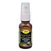 REPTIN Maulhygienespray vet.