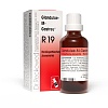 Dr. Reckeweg Glandulae-M-Gastreu® R19