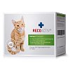 RECOACTIV Immun Tonicum f.Katzen Kurpackung