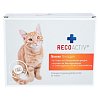 RECOACTIV Nieren Tonicum f.Katzen Kurpackung