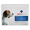 RECOACTIV Gelenk Tonicum f.Hunde Kurpackung