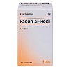 PAEONIA COMP.HEEL Tabletten
