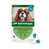 ADVANTAGE 100 Lösung f.Hunde 4-10 kg