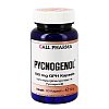 PYCNOGENOL 100 mg GPH Kapseln