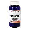 PYCNOGENOL 50 mg GPH Kapseln