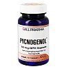 PYCNOGENOL 50 mg GPH Kapseln