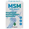 MSM 500 mg plus Kapseln