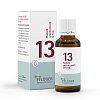 BIOCHEMIE Pflüger 13 Kalium arsenicosum D 6 Tropf.